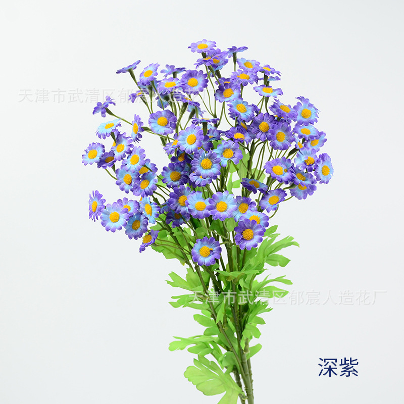 カモミールの単枝30輪の花が国境を越えて起爆した家庭の客間に小さなデイジーベランダの小さな清新な装飾を配置することをシミュレーションした|undefined