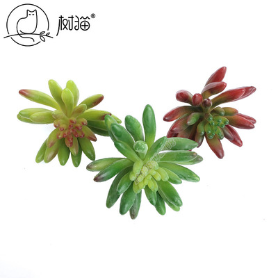 热卖仿真多肉植物大号辣椒果假多肉相框组合桌面盆栽手指多肉环保