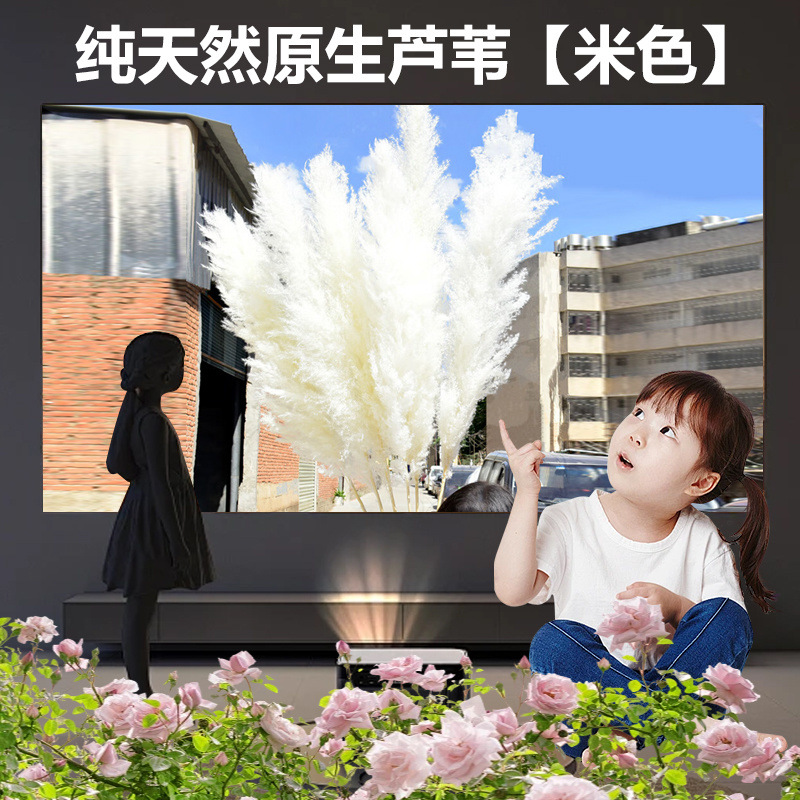 오프화이트 1.7m개