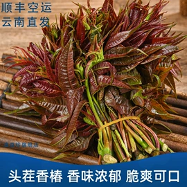其他干货;蘑菇;牛肝菌