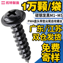 PWAɫA^|ԹݽzȫSֱNʮּβbСM4