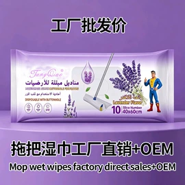 抹布、百洁布;湿巾纸;一次性洗脸巾