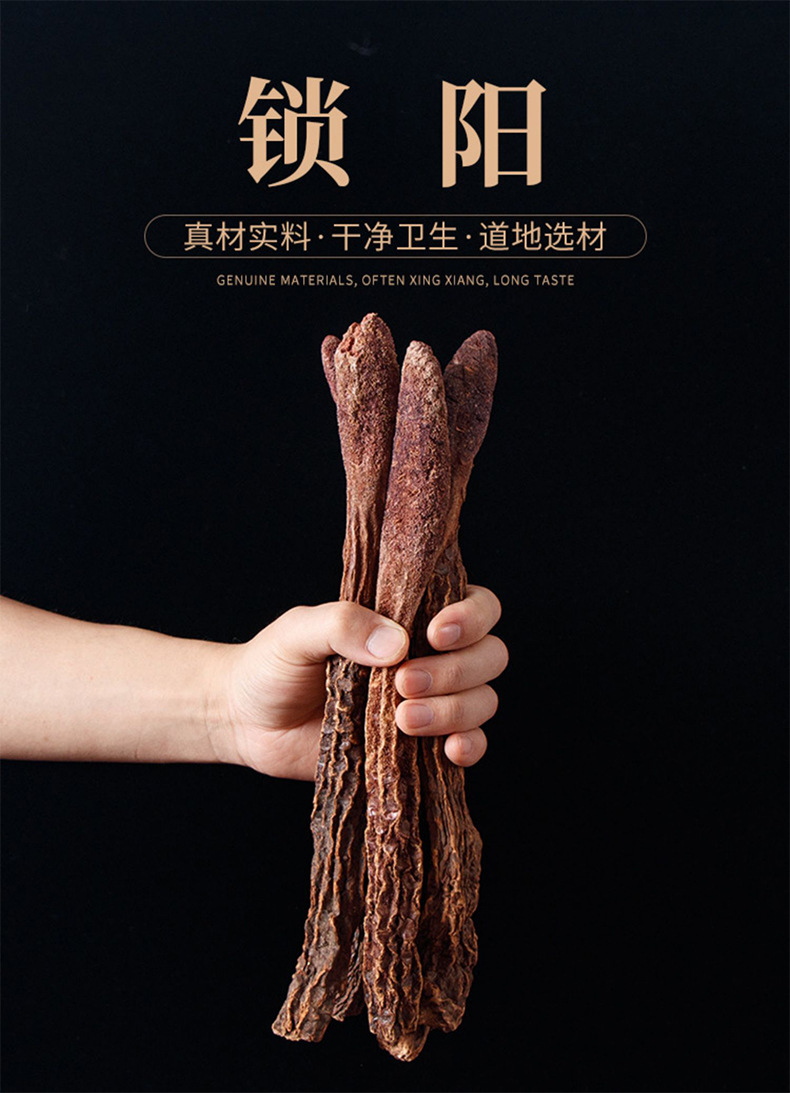 Cynomorium Songaricum Slices Suo Yang 500g Dried Herb for Tea Wine and Cooking overview