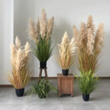 仿真芦苇植物盆栽室内橱窗餐厅白芦苇头干花摆件露营地氛围布置