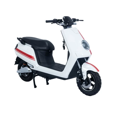 Electric Bicycles, Complete Vehicles, Electric – Elektrikli motosikletlər