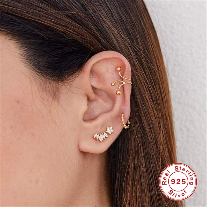 Style Simple Feuille Star Argent Sterling Placage Incruster Zircon Boucles D'oreilles 1 Pièce display picture 2