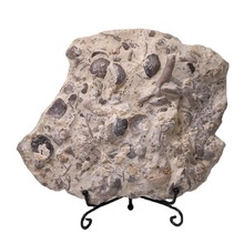 �����o��ؐ��ʯԭʯؐ����ʯȺ������ﺣ�����ԭʯ�[���ղ�