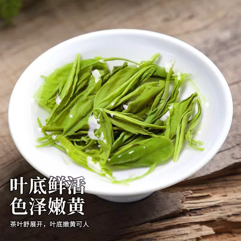 【爆款】高山绿茶毛尖新茶春茶浓香型茶叶散装袋装正宗春茶