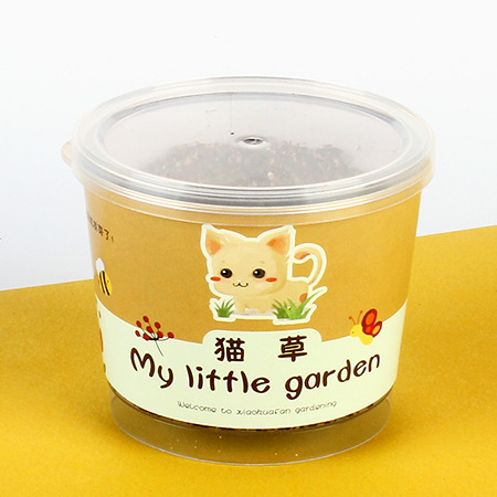 Niños plantan pequeños jardines de infantes fresas plantas de mesa mini caja ciega diy verde juguetes puestos al por mayor image 13