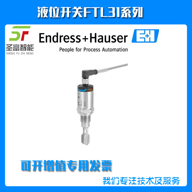 恩德斯豪斯FTL31-AA4U3BAWSJ液位开关FTL31-11V0/0
