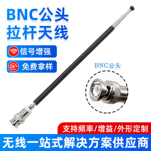BNC���^���U�쾀��̖������s�쾀 FM�����C�쾀 �����쾀����