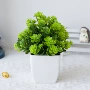 室内外仿真跨境盆栽草