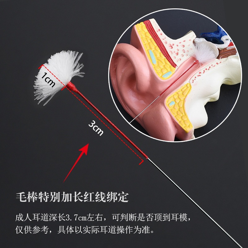 Technician uses professional ear-cleaning tools, including a pick, to reinforce and extend red threads with soft, medium-sized silver needles and feather sticks.
