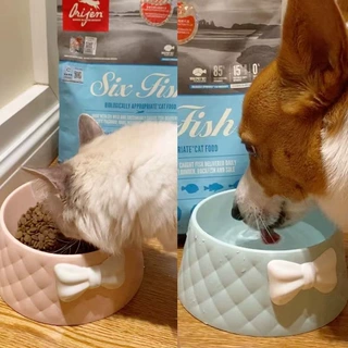 宠物碗狗碗猫碗防打翻狗食盆猫咪双碗宠物用品猫粮猫食盆狗狗食盆