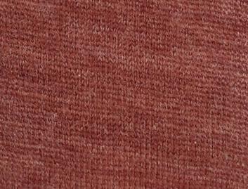 DS20C21312 적갈색