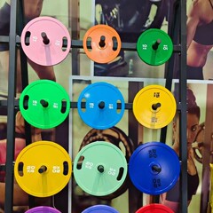 マカロンカラーハンドバーベルピース、ステンレス鋼一体成型、ホームシェイピング、フィットネス、スポーツ、競技用多機能スチール