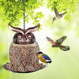 �羳�Ғ��b�؈�^���������^���Ҿ�ͥԺ���@�b�Ʒ���