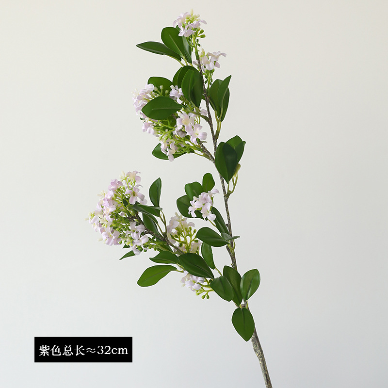 보라색
