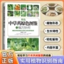 精选原色中草药