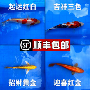 ��S�\���~���w�^�p�~���~�������B��ˮ��ˮ�~�\��С�~���׻���~