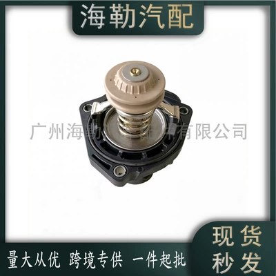 Thermostat for Land Rover 4.4
