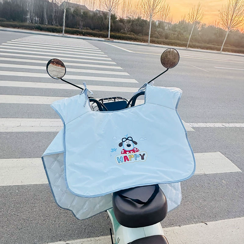 Windproof summer thin waterproof electric car, sun protection