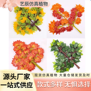 �G���~�k���G�֦���~����ֲ��ټt���y�����b��~�ӾGֲ����