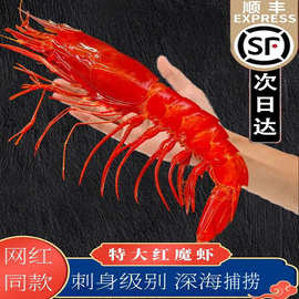 红魔虾特大鲜活刺身新鲜超大潮汕生腌非西班牙国产生淹海鲜大虾