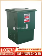 �|�10KV�Wʽ����^ �����D�ӷֽ��� t�����ͽ��^ �߉���|��֧��