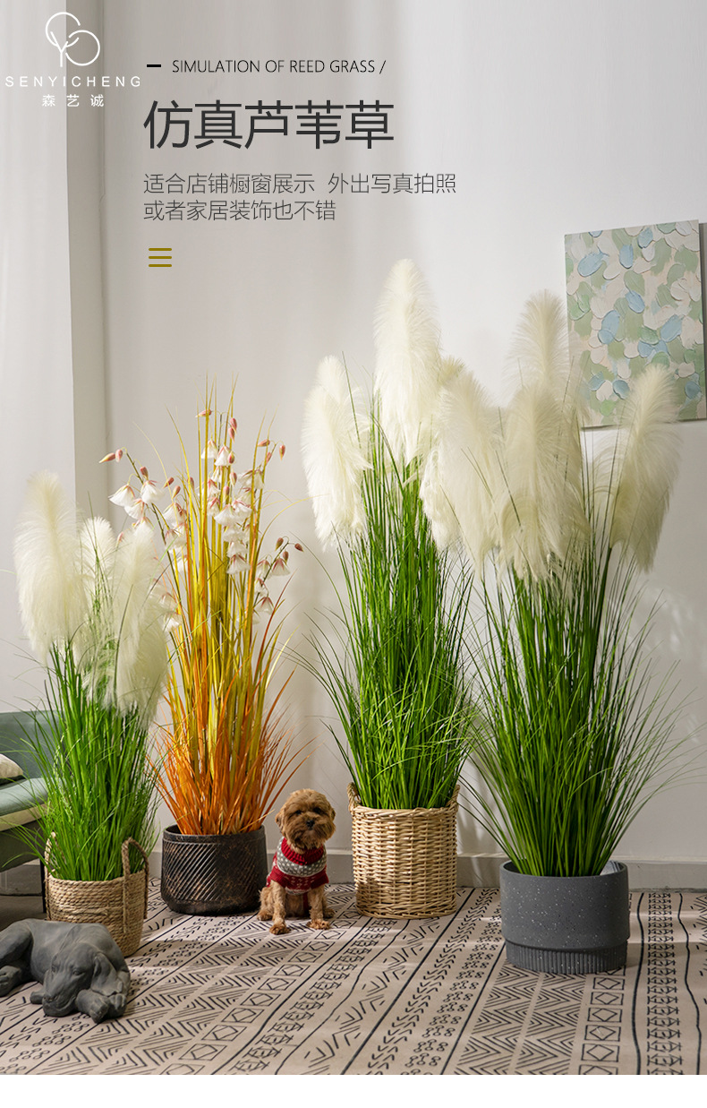 hGyTgvKjy9T/JMf1cqcTitUucJ03jqIwuRkC