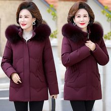 �p��Ʒ��Ů�b��q���ﶬ�����ꋌ���b�����q��ů�����^�����·���