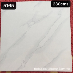 50x50cm ceramic soluble salt porcelain floor tiles Bu500
