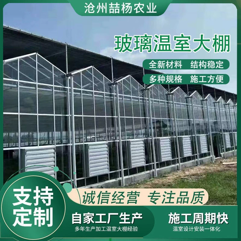 Умные стеклянные теплицы. Производители теплиц разрабатывают и устанавливают стеклянные теплицы для цветочных садов и умные теплицы.