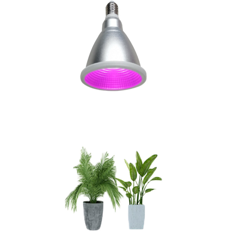 IP65ˮPAR38 15Wֲɫֲ