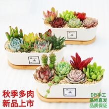 ����M���ײͽM���b������Ԃ����մ����k���Ҵ�̨�̨��ݗ��