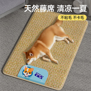 Dog Mat, Kennel, Summer Pet Sleeping Mat, Cat Kennel, Cat Mat, Anti-Bite, Universal Floor Mat for All Seasons, Ice Mat