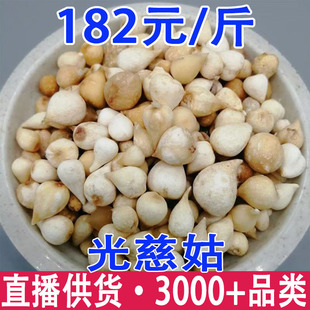 ��ȹ� �״ȹ� ��ȹ� �״Ĺ����l���l