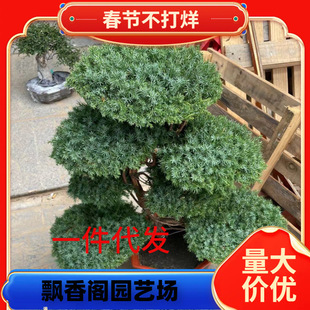 һ�����lӭ��������辰�҃����ɰصذ������辰�k����ͥԺ���^ֲ
