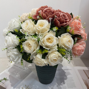 õ�廨��7�^��c·�����������bٻ����b�ˇƷINS�L�羳���l