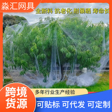 货源透明防鸟网葡萄温室鱼塘果园耐用的防鸟网白色