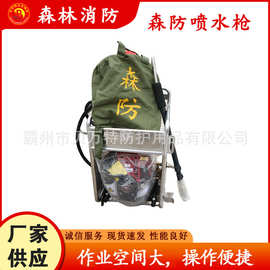 背囊式大容量灭火水枪脉冲背负式消防灭火器便捷往复式水枪背桶