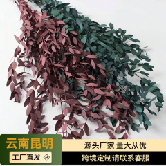 外国貿易ホットセールシャワースパギフトボックスガラスカバー花材ホームフラワーアレンジメント永遠の美葉ユーカリの葉