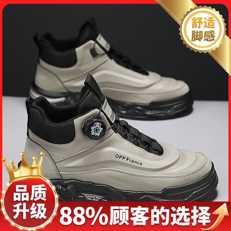 그레이 업그레이드 모델