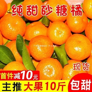 ɰ���ُV�����ﱡƤ�������r�ЋDˮ���������l���]����վ���uͨ