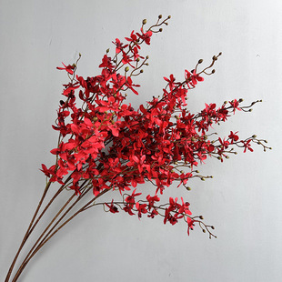 ����|���m �f���m�Ҿ��bzӰ���߷��滨��c��Ʒ���m֩���m