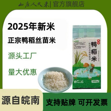 ɽׯ�˴��������z����1����N�w�N�YƷ�s�Z���S���l�����������