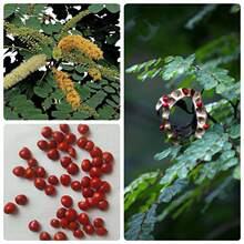 ��ľ���ܷN�Ӻ��t���N�Ӻ��t����N�ӿ�ȸ���N�Ӽt���N���ļ�ͥԺ