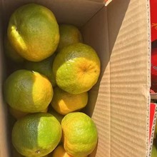 ԭ�a��ֱ�l �������� �����J��75�� 80���  �����ɲ�ժ �Լ��r��