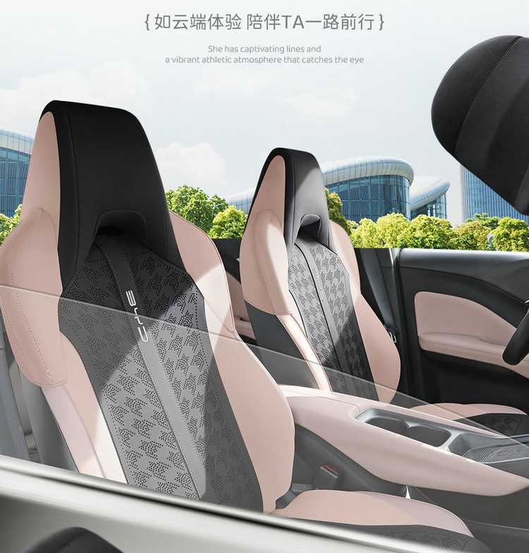 2025 BYD Seagull Seat Cover Glory Edition Special Cushion Haiou Four Seasons Universal Seat Cover Car Seat Cushion 25
