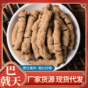 ��ș�����l������о���ĥ��ץ��șһ�����l��ș�Ƭ���a�ݱ�